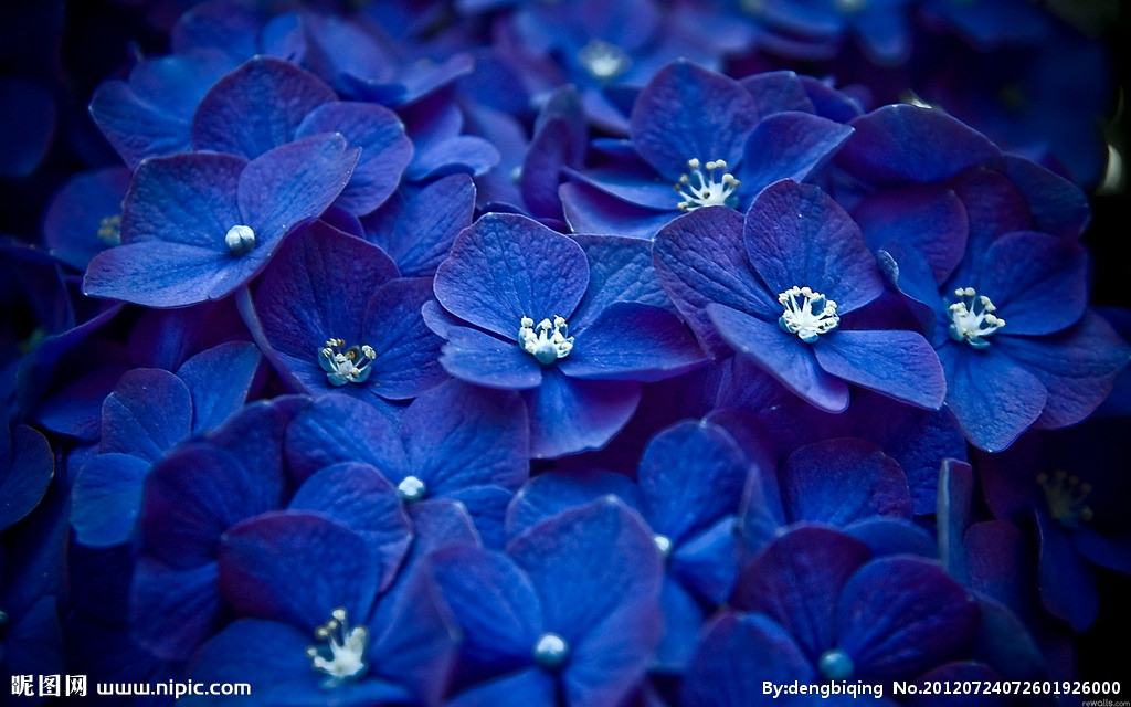 たたえていた女性が