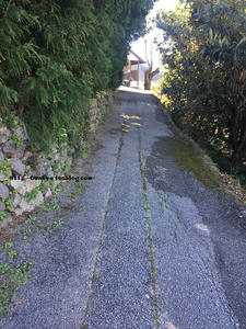 武市先生記念館への道
