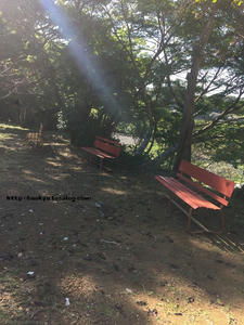 瑞山神社境内