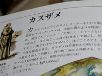 0406鮫の本02