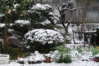 0417雪が降ったよ