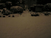 20110212雪の朝