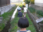 8c43f958.jpg