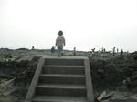2c8ebce1.jpg