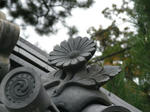 416e2921.jpg