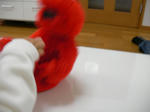 69b420a1.jpg