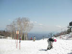 d76488e8.jpg