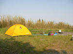 ef905459.jpg