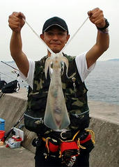 YASUアオリ釣果