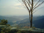 080306.jpg
