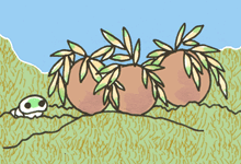 えいそう　栄草