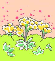 じゅんそう　荀草