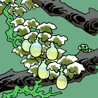 くしん　苦辛