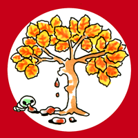 はくこう　白咎