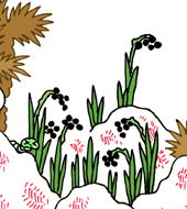 じょうそう　条草