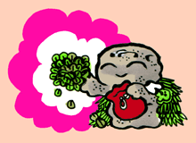 わこうなるちゃ　若うなる茶