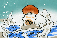 うみのまつたけ　海松茸