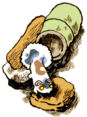 かいこぎつね　かいこ狐