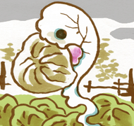 いものはふすべ　芋葉痣