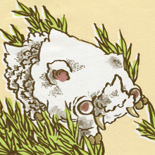 しろいのしし　白猪