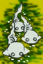 あやかし　海怪