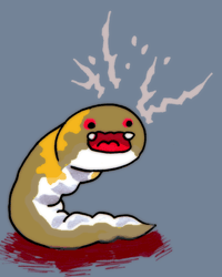 おうりょうだ　黄領蛇