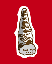 "やまおこぜ