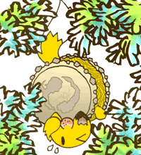 きつねだいこ　狐太鼓