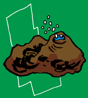 こめかみいわ　喫米岩