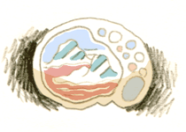 しんせき　心石