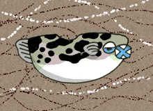 ごうふぐ　降河豚