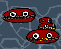 鬼蚶 きかん