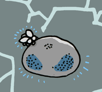 かしょうせき　化小石