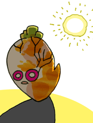あかだいこ　赤大根
