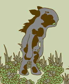 かげうま　影馬