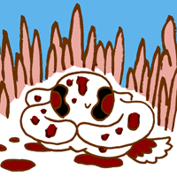 あかて