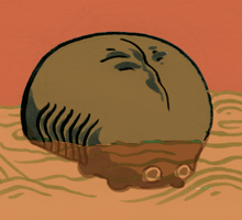 ぎゅうはい　牛背