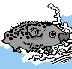 ぎょ　魚