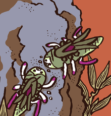 つきやまどののむし　築山殿の虫