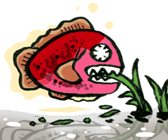 たのたい　田赤魚