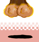 いきうめぼし　生梅干
