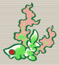 ザッコ