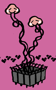 はなげ　花毛