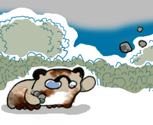 いしなげたぬき　石投狸