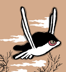 コッコ・チカプ