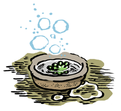 まんねんぐさ　万年草