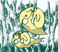 きゅうせん　弓箭