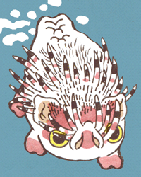 せんちょ　箭猪