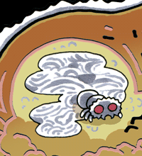 ぎろう　蟻漏