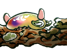 せごしき　背五色